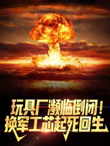 已完结小说《玩具厂濒临倒闭！换军工芯起死回生》章节在线阅读