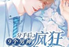 分手后,9个男神疯狂追求我这本小说怎么样?免费在线阅读试试-飓风文学