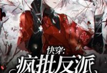 完结版《快穿：疯批反派他又被撩了》章节阅读-飓风文学