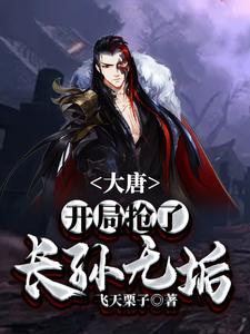 免费在线阅读大唐：开局抢了长孙无垢小说的正规网站有哪些？
