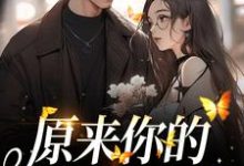 已完结小说《原来你的心里没有我》最新章节-飓风文学