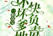 南宫丞沈茉染的小说在哪里看?免费在线阅读一胎双宝:坏坏爹地快负责-飓风文学