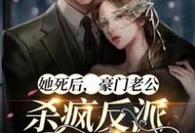 她死后，豪门老公杀疯反派殉情了这本小说完结了吗？免费查看最新章节-飓风文学