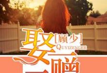 完结版《顾少，娶一赠二》在线免费阅读-飓风文学