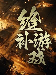 《缝补游戏》小说章节在线试读，《缝补游戏》最新章节目录
