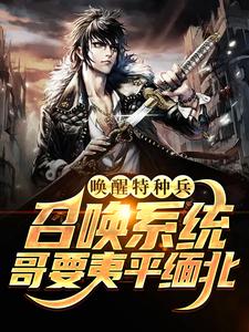 唤醒特种兵召唤系统，哥要夷平缅北许晨小说免费阅读