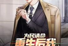 为民请命,重生后我走上官场巅峰叶正刚许晓情小说在线章节目录阅读最新章节-飓风文学