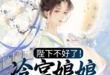 陛下不好了！冷宫娘娘又作妖了这本小说在哪里可以看？哪里有免费试读章节？-飓风文学