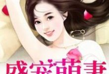盛宠萌妻这本小说怎么样？免费在线阅读试试-飓风文学