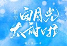 《他的白月光太甜啦》小说主角时晚段泽轩章节章节免费在线阅读-飓风文学