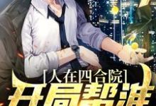 人在四合院，开局帮淮如赚点钱小说完结版章节免费阅读-飓风文学