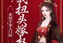 小说《重回平妻入门时，我扭头嫁权王》章节免费阅读-飓风文学