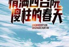 主角叫何雨柱傻柱的小说在哪阅读-飓风文学