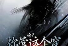 啥？你管这个穿布衣的叫剑仙小说全文哪里可以免费看？-飓风文学