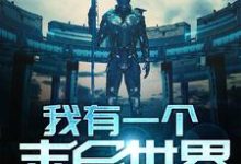 我有一个末日世界小说有没有完结版在线?-飓风文学