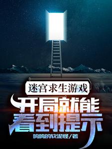 迷宫求生游戏：开局就能看到提示周晨叶诗诗小说在线章节免费阅读