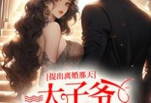 提出离婚那天，太子爷满城找夫人小说全文阅读需要付费吗？寻找免费资源-飓风文学