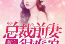 云暮锦叶墨修云瑟瑟郑旭阳小说在线章节免费阅读（萌娃归来：总裁前妻很难追无弹窗无删减）-飓风文学