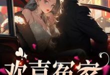主角 唐绾宋玺小说完结版在线阅读，欢喜冤家免费看-飓风文学