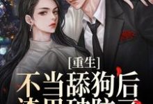 重生不当舔狗后，渣男破防了小说，重生不当舔狗后，渣男破防了许知予秦仰-飓风文学