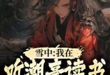 雪中：我在听潮亭读书成陆地神仙小说，雪中：我在听潮亭读书成陆地神仙徐麒麟-飓风文学