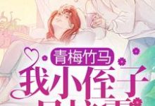 青梅竹马：我小侄子是校霸小说，青梅竹马：我小侄子是校霸江稚沈辞安-飓风文学