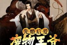 先婚后爱：废物王爷宠妻没下限小说，先婚后爱：废物王爷宠妻没下限最新章节-飓风文学