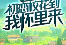 重生八零：初恋校花到我怀里来最新章节，重生八零：初恋校花到我怀里来章节在线阅读-飓风文学