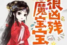 半魔宝宝很凶残最新章节，半魔宝宝很凶残免费阅读-飓风文学