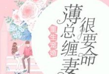 重生宠婚：薄总缠妻很要命小说，重生宠婚：薄总缠妻很要命曲瓷薄时延曲洛依-飓风文学