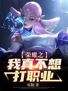 叶落林婉的故事在哪本书里？免费阅读荣耀之我真不想打职业