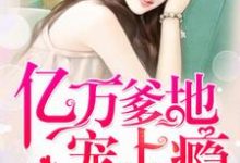 苏洛洛龙夜爵小说在哪里可以看-飓风文学