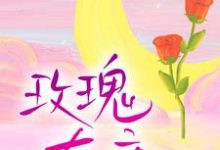 玫瑰有瘾温漫闻彦川小说在线章节免费阅读-飓风文学