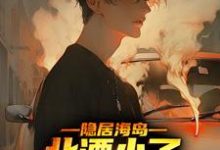 隐居海岛，北漂小子混的风生水起小说免费资源，隐居海岛，北漂小子混的风生水起在线阅读-飓风文学
