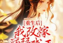 重生后，我改嫁病弱残王扶他上位慕容珩沈若惜，重生后，我改嫁病弱残王扶他上位最新章节-飓风文学