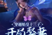 已完结小说《穿越始皇十三子，开局娶妻少司命》最新章节-飓风文学