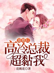 《退婚后，高冷总裁超黏我》小说主角叶桐若苏辰章节章节免费在线阅读