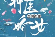 神医娇女涅槃而生这本小说怎么样？免费在线阅读试试-飓风文学