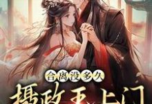 小说《合离没多久，摄政王上门求给名分》章节免费阅读-飓风文学