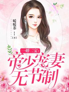 一婚二宝：帝少宠妻无节制小说，一婚二宝：帝少宠妻无节制林羞寒蔺君