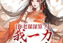 小说《你老谋深算？我一力降十会》章节免费阅读-飓风文学