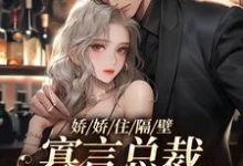 《娇娇住隔壁,寡言总裁笑不拢嘴》小说主角陈嫚章节章节免费在线阅读-飓风文学