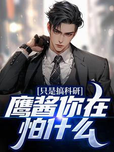 只是搞科研，鹰酱你在怕什么？苏晨陆婉兮小说免费阅读