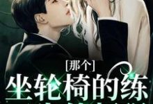 完结版《那个坐轮椅的练习生他超强》章节目录在线阅读-飓风文学