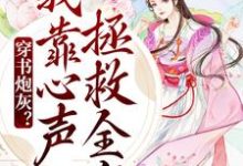 在线搜索陆朝朝陆元宵的完整小说，免费阅读穿书炮灰？我靠心声拯救全家-飓风文学