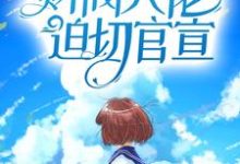 闪婚后,财阀大佬迫切官宣免费阅读,闪婚后,财阀大佬迫切官宣叶宜宁厉霆州-飓风文学