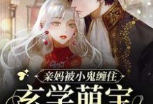 已完结小说《亲妈被小鬼缠住，玄学萌宝在线画符》章节在线阅读-飓风文学