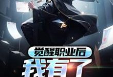 在线寻找觉醒职业后,我有了全屏冰冻小说的无删减版本-飓风文学