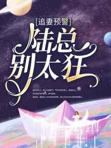 免费看追妻预警：陆总别太狂小说的网站有哪些？