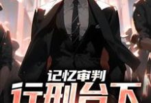 《记忆审判：行刑台下，看哭众人》全集免费在线阅读（石岩）-飓风文学